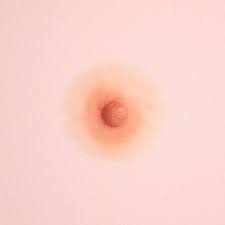 areola